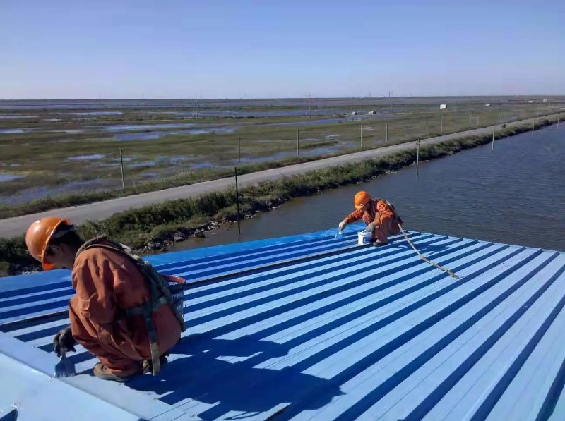 新华镇彩钢瓦屋面防腐翻新